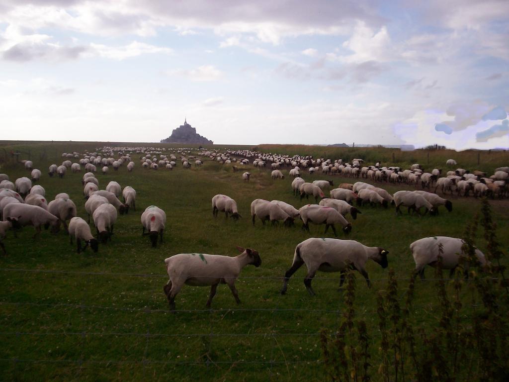 Chambres D'Hotes Farcy "La P'Tite Transhumance" Ardevon Dış mekan fotoğraf